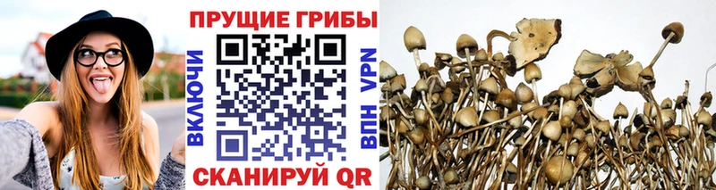 Псилоцибиновые грибы MAGIC MUSHROOMS  Купить закладки  Сольцы 